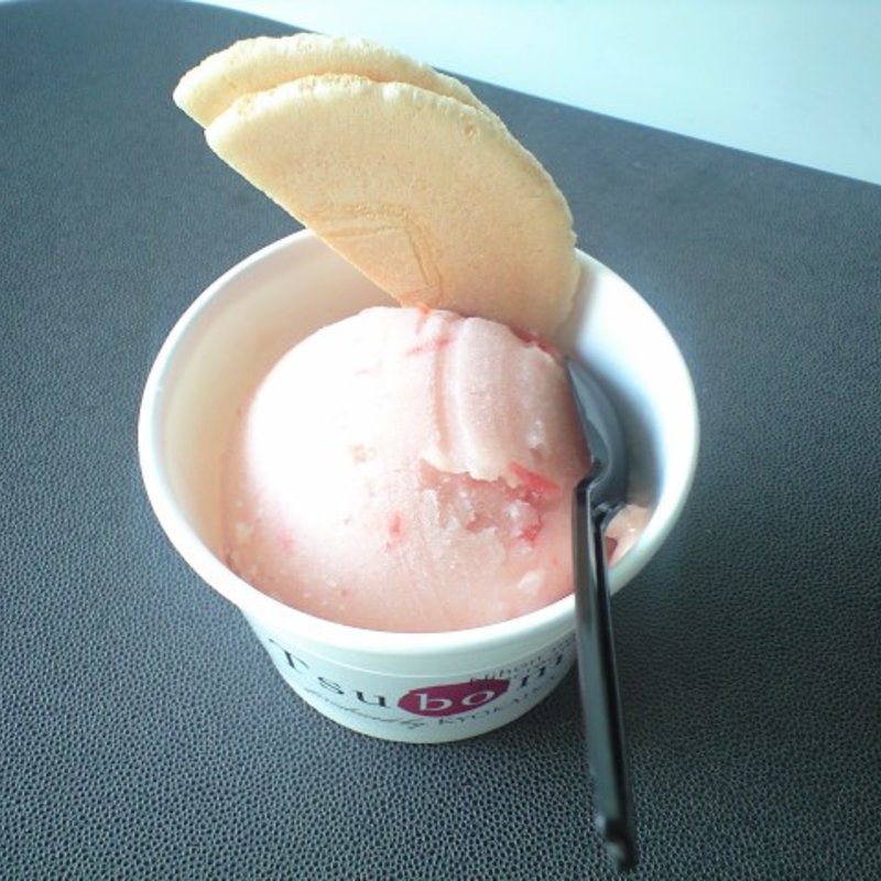 スモールカップ(ツボミ （Tsubomi）)