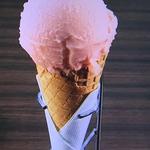 スイカのジェラート（コーン）(kanon （カノン）)