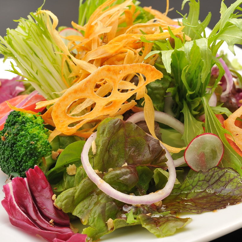 10品目のベジタブルサラダ(音波 （おとは）)