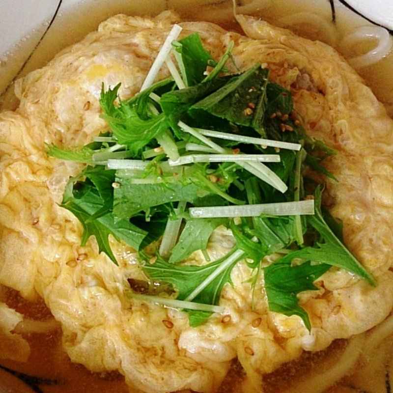 特製柚子の鶏つみれと水菜の卵とじうどん(cafe  中野屋)