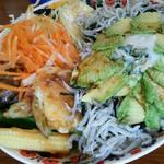 湘南シラス鎌倉野菜のランチ