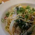 PASTA　LUNCH