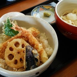 天丼少なめ麺セット付(うどんレストラン へんこつ 日立大みか店)