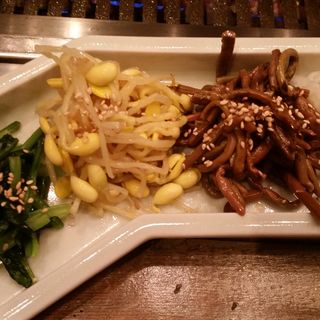 ナムル4種盛り合わせ(六本木焼肉　Kintan （ロッポンギヤキニクキンタン）)