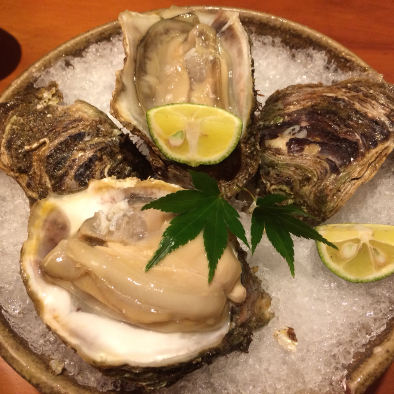 【激選6メニュー】新宿で生牡蠣が食べれるオイスターバー | SARAH[サラ] 料理メニューから探せるグルメサイト