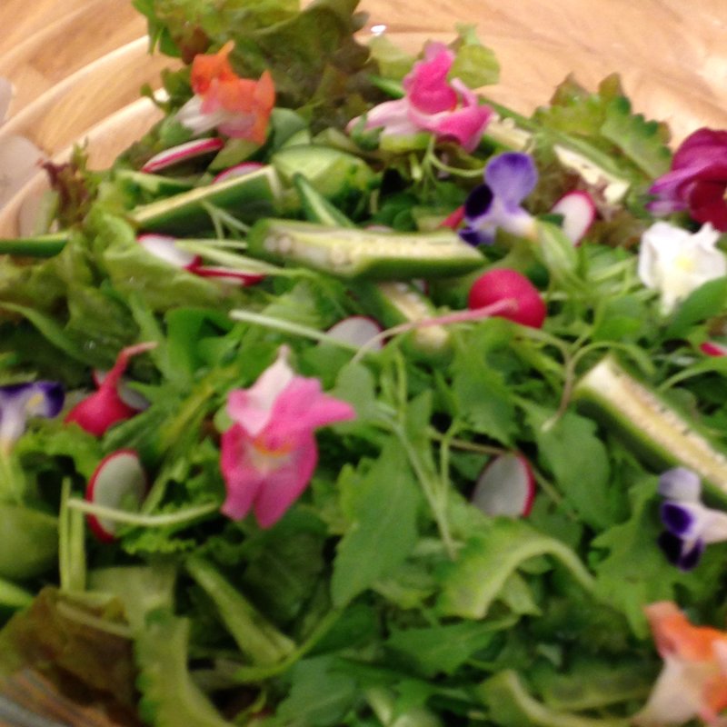 野菜たっぷりフレッシュサラダ(ビオクラカフェ)