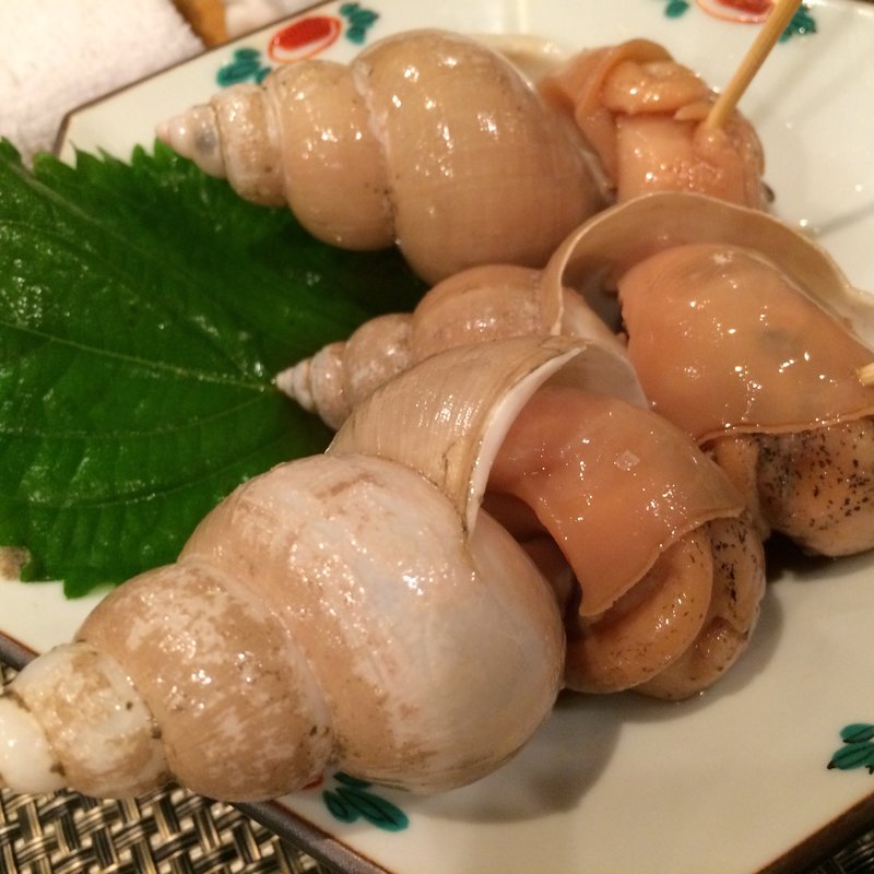 白バイ貝煮付け(菜々海 池田駅)