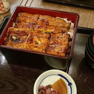 大阪まむし(本家 柴藤)