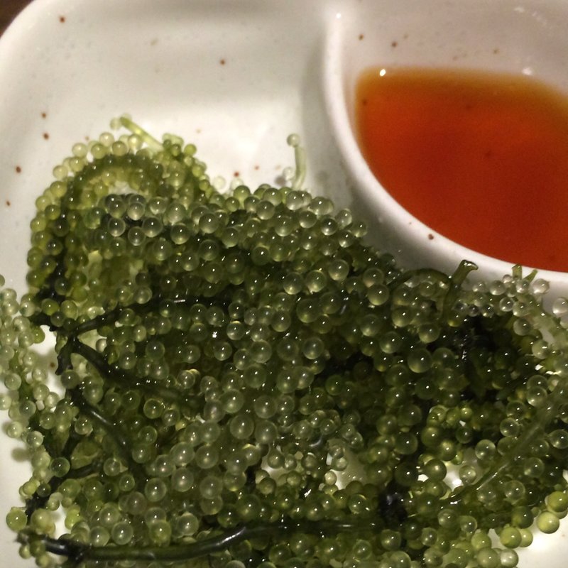 海ぶどう(草花木果)