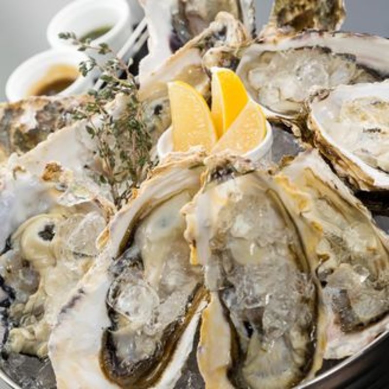 オイスターLサイズ(spanish Italian Azzurro520+cafe　-costa de terraza- （スパニッシュ　イタリアン　アズーロ　ゴーニーゼロ　プラス　カフェ　コスタ　デ　テラッツァ）)