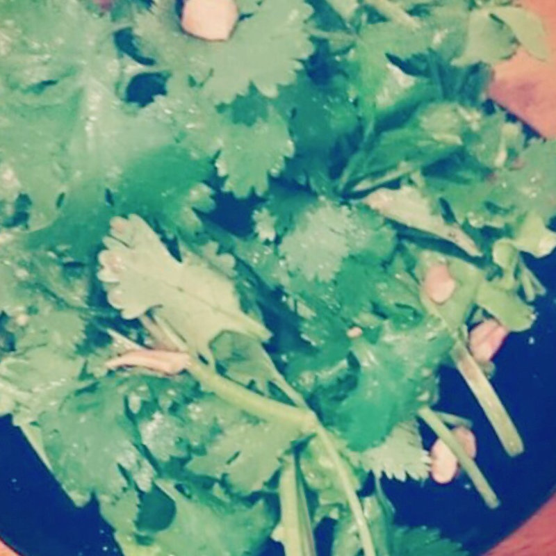 コリアンダーサラダ(シバカリー ワラ （shiva curry wara）)