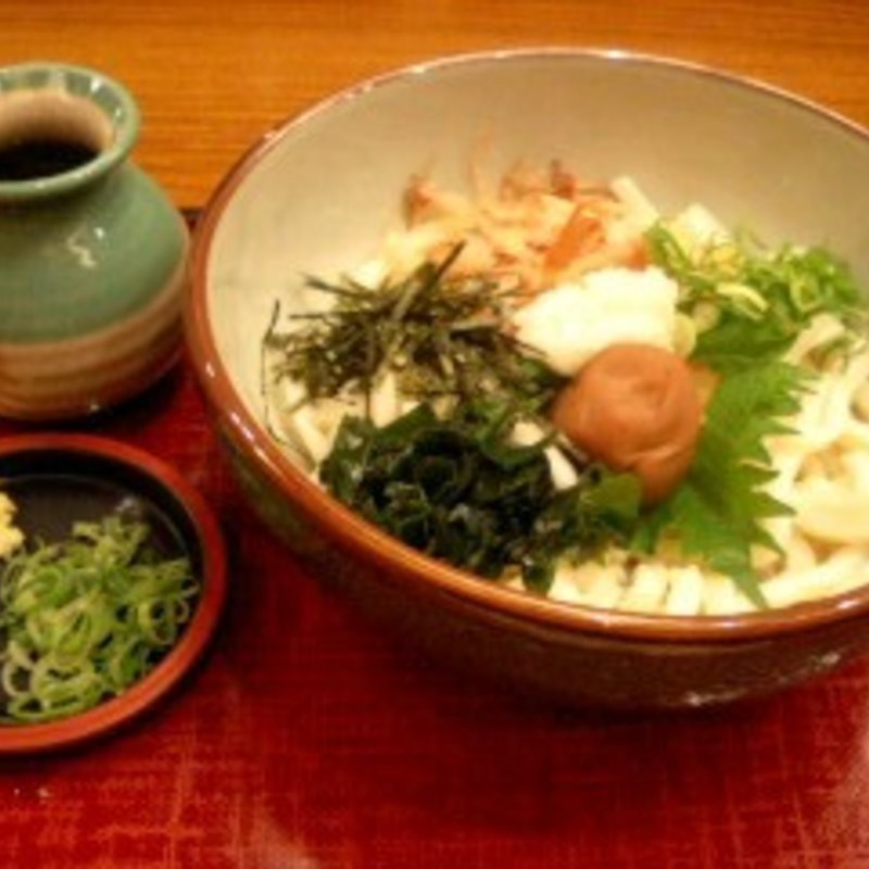かけ梅おろしうどん(実演手打うどん 杵屋 川崎アゼリア店)