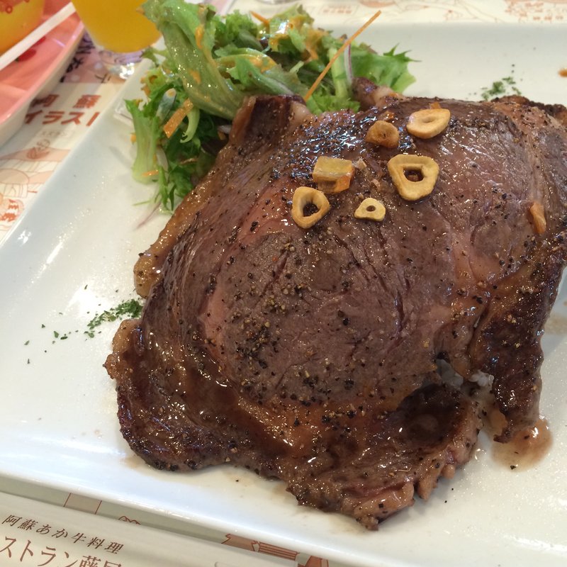 阿蘇　あか牛ステーキドーン！(レストラン藤屋)
