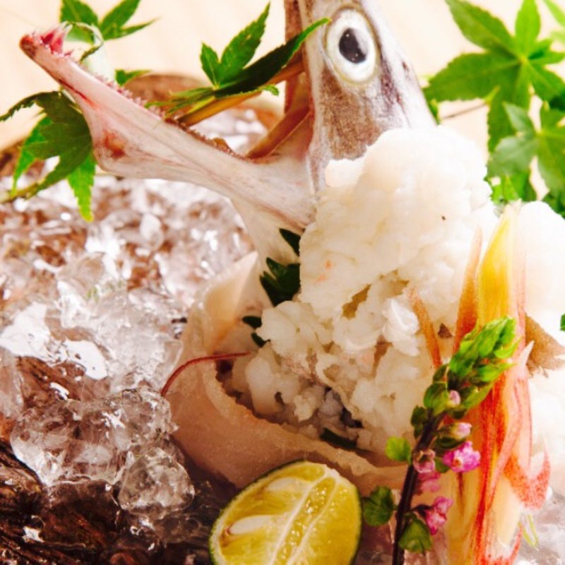 鱧の湯引き(江戸三座)