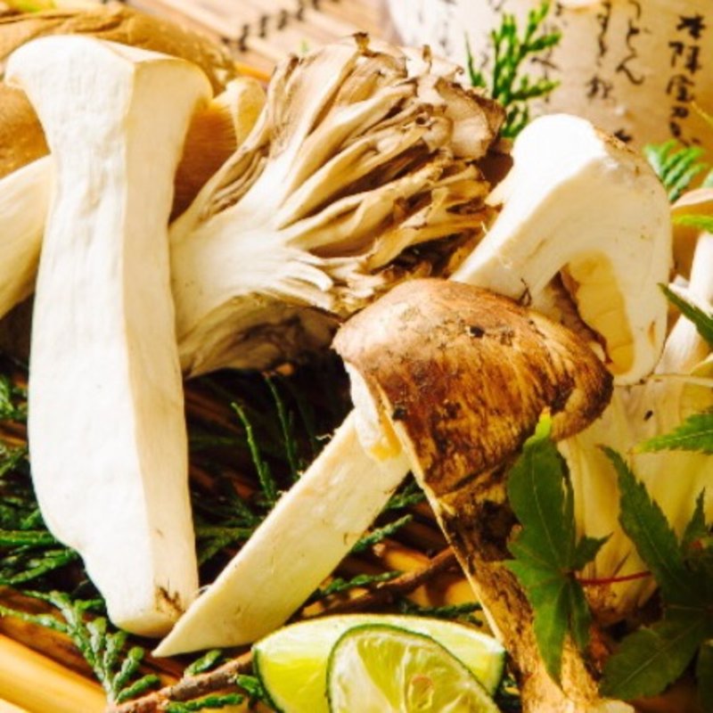 松茸と秋茸の炭火焼(江戸三座)