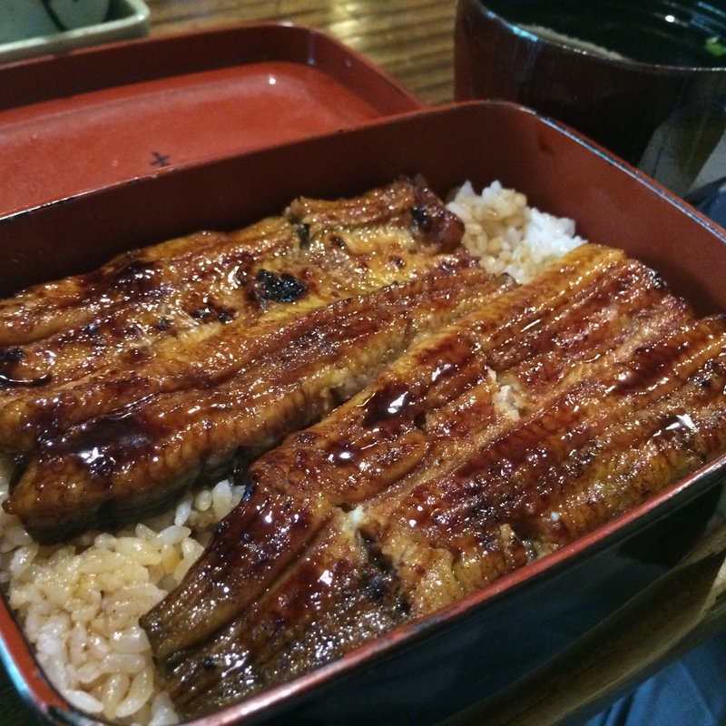 特選 大井川共水鰻(志津可 (シズカ))