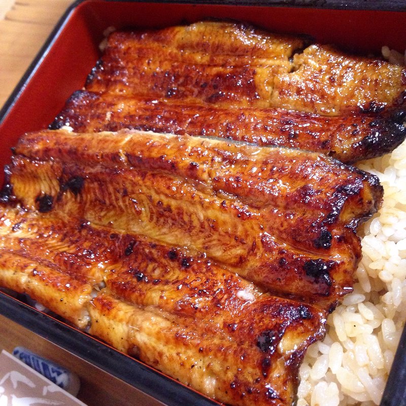 うな重 松(うなぎ　しら澤)