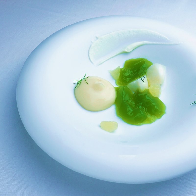 蕪ゼリー(NARITA YUTAKA )