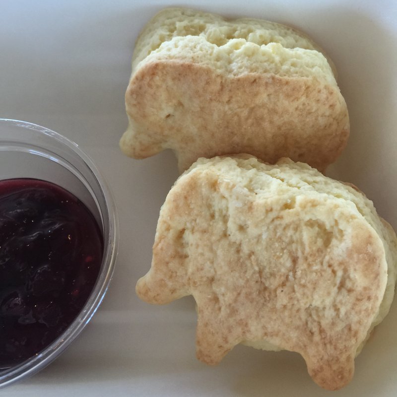 スコーン(象の鼻カフェ)