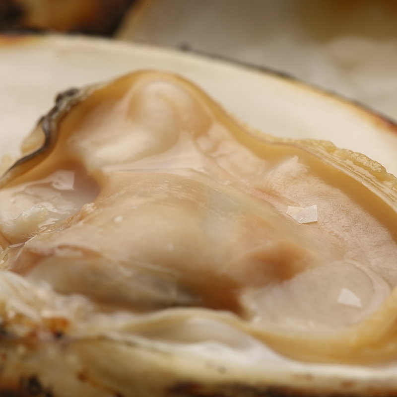 はまぐり(ヌキテパ)