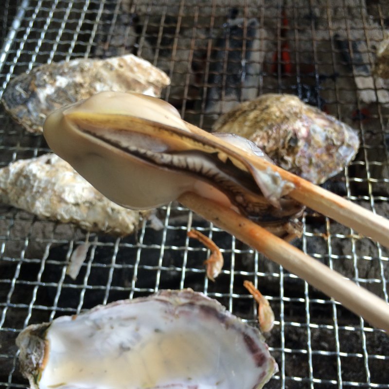 かき（1kg）(唐泊恵比須かき小屋 )