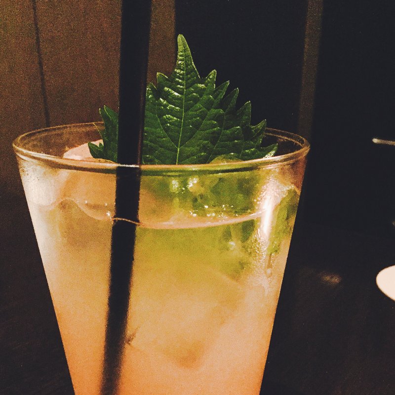 季節のレモネード(T.Y.HARBOR)