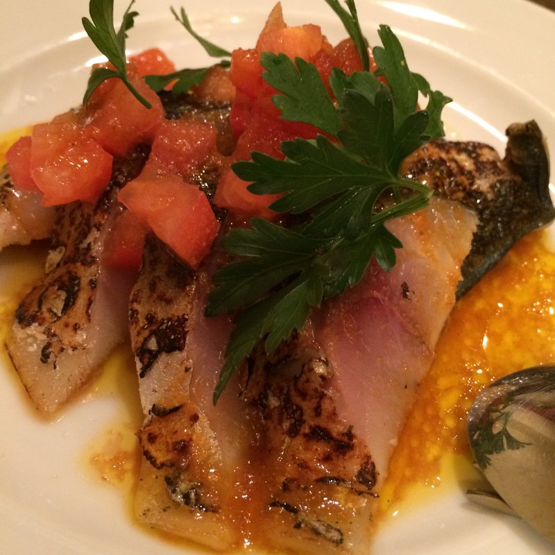 九州産しめ鯖のカルパッチョ(コンクラーベ)