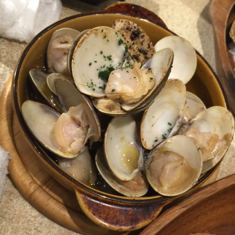 ハマグリのつかみ取り(浜glue?8086 （ハマグル）)