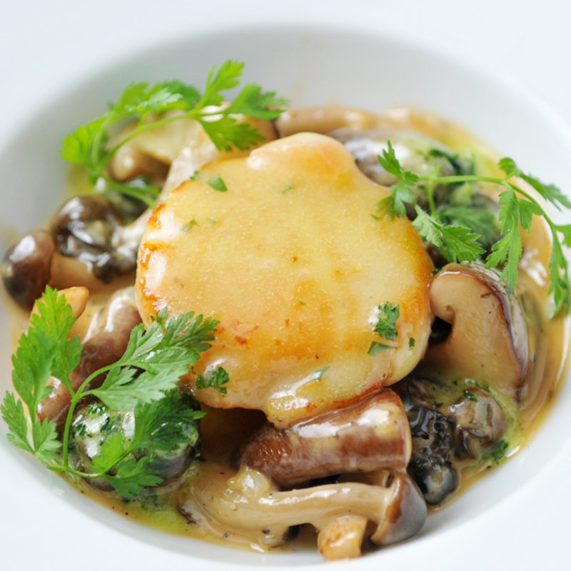 料理長おまかせコース(オーシャンディッシュクオン （OceanDishQ'on）)