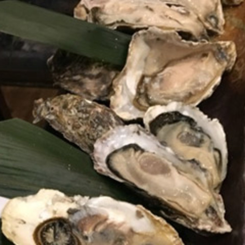 牡蠣しゃぶしゃぶ（1人前）(かき家 こだはる)