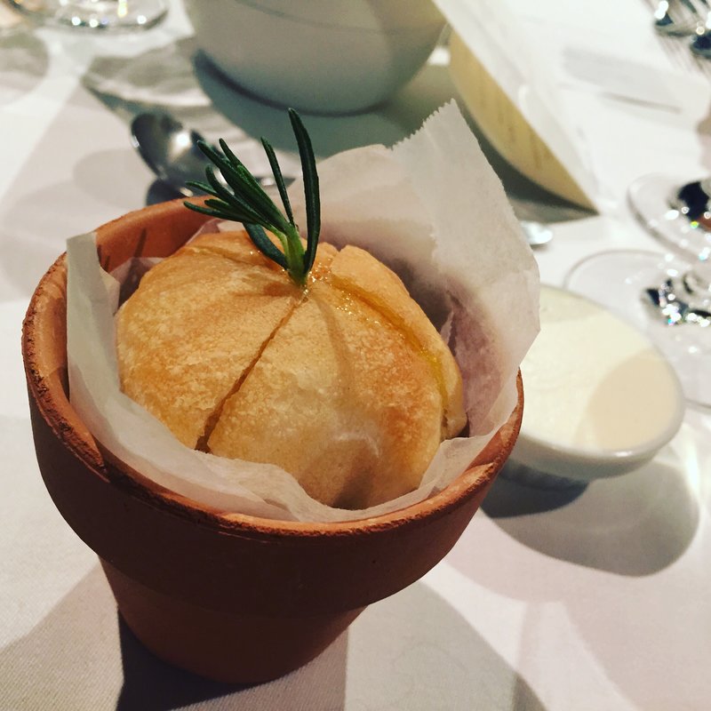 鉢植えフォッカチャ(Casita)