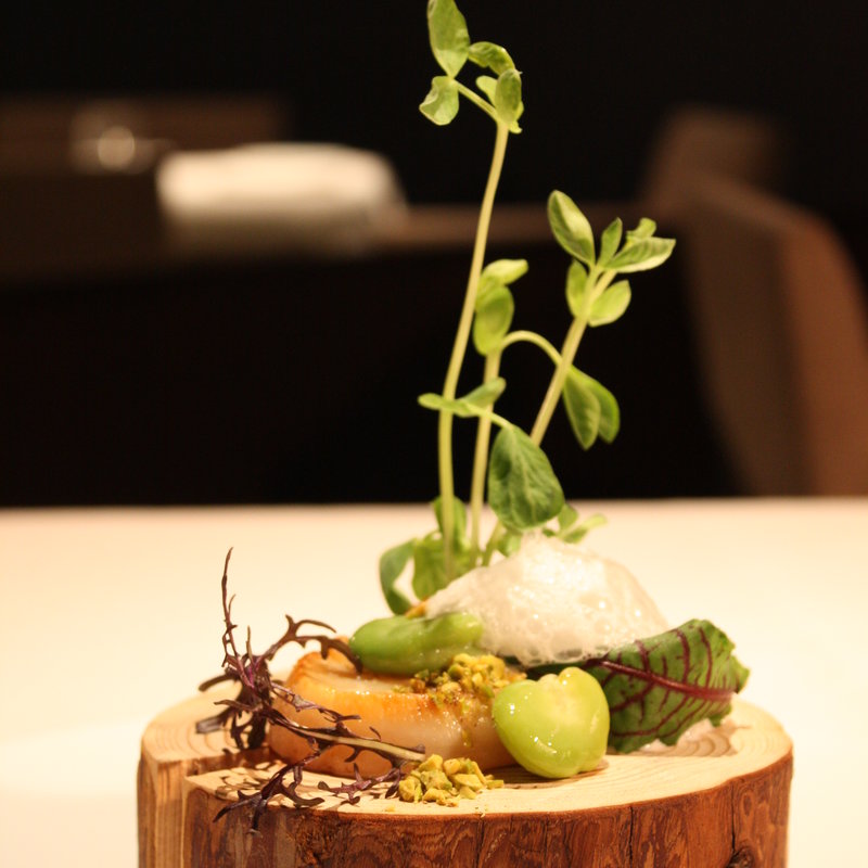 ジャックと豆の木(オレキス （OREXIS）)