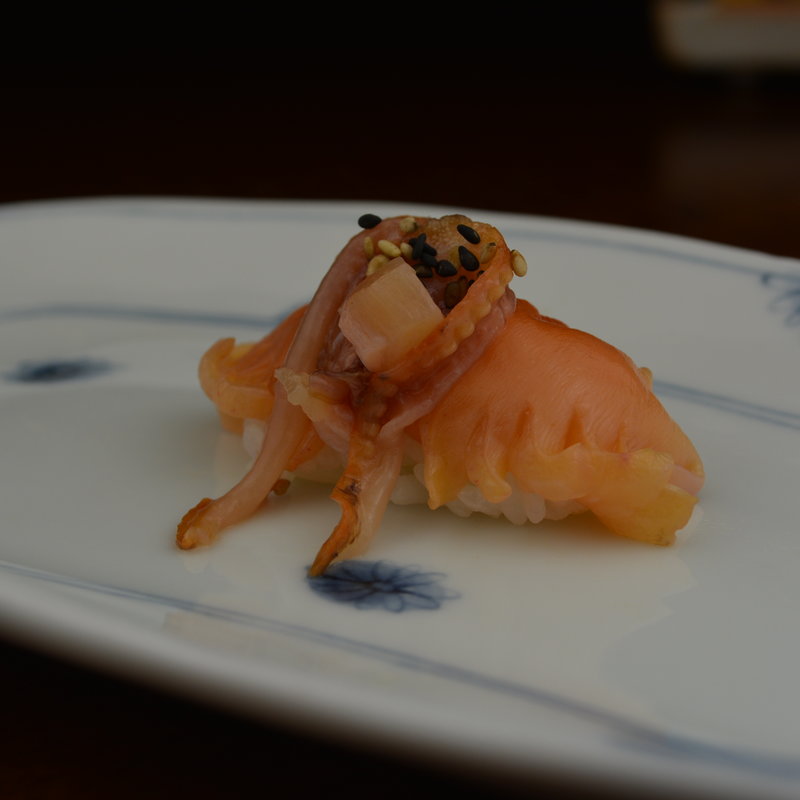 北寄貝(扇鮨 （オオギズシ）)