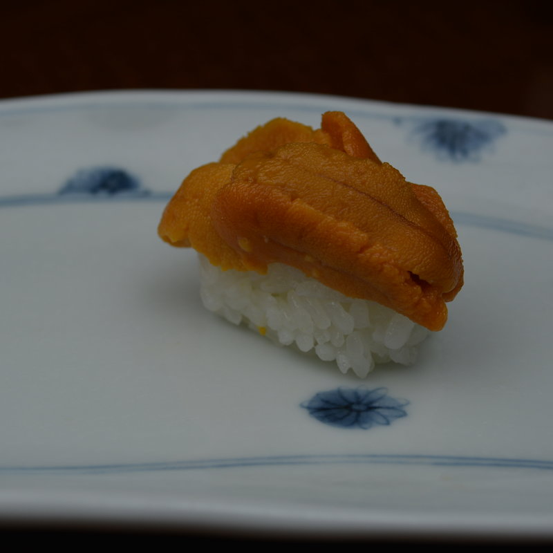 ウニ(扇鮨 （オオギズシ）)