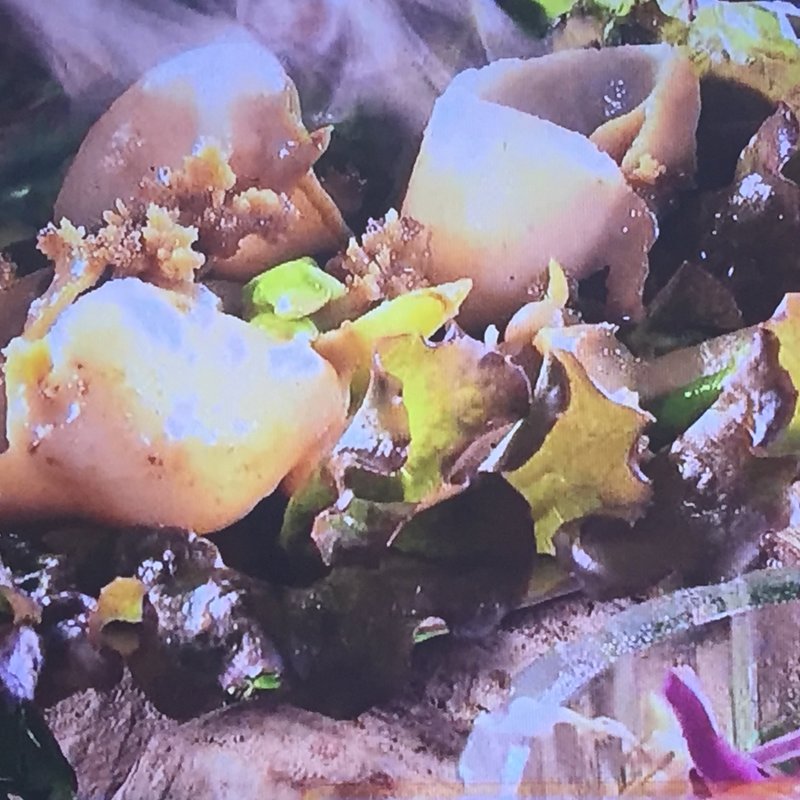 黒アワビとアスパラバター炒め(能登のかど)