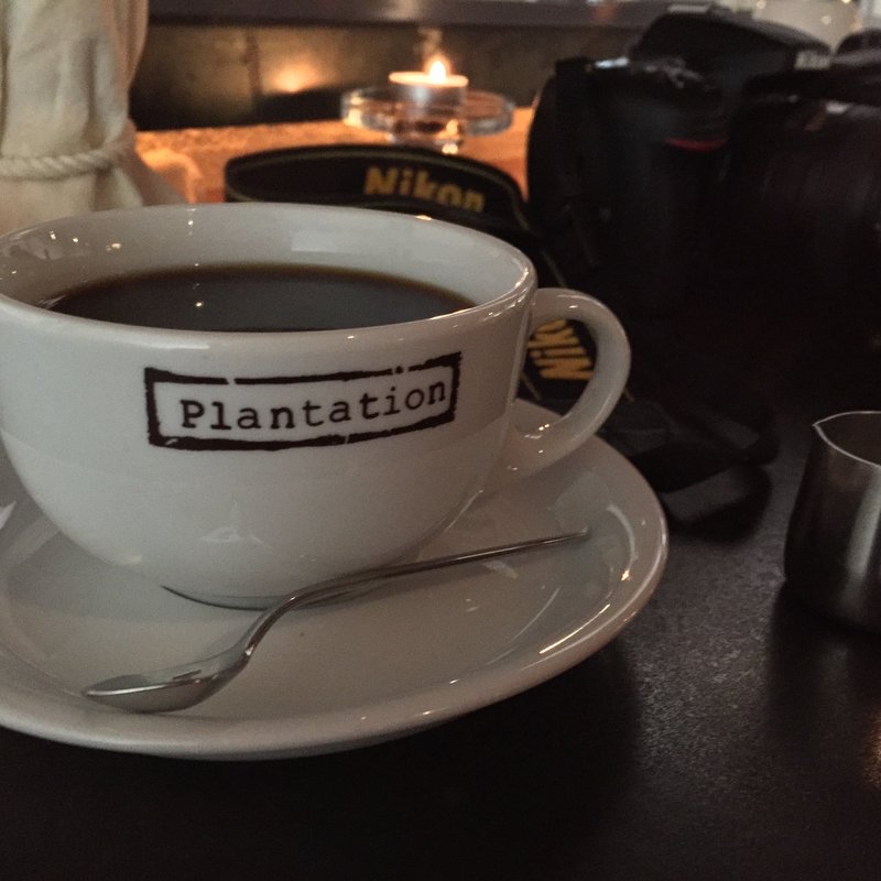 (プランテーション)