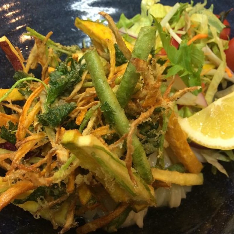 サラダのかき揚げぶっかけ(うどん工房 悠々)