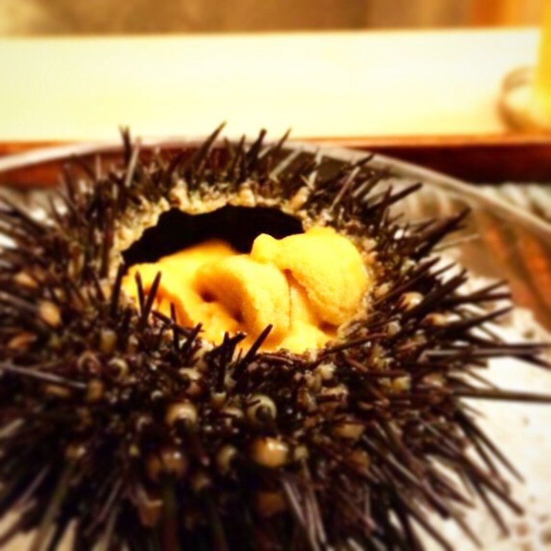 コース(緒方 （おがた）)