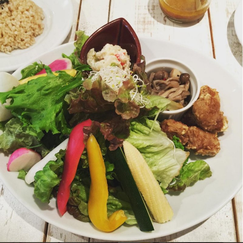 本日の高原サラダ(アインソフ　ジャーニー （AINSOPH.JOURNEY）)