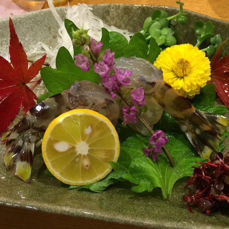 活車海老つくり（一尾）(すし和食のお店田まい （たまい）)