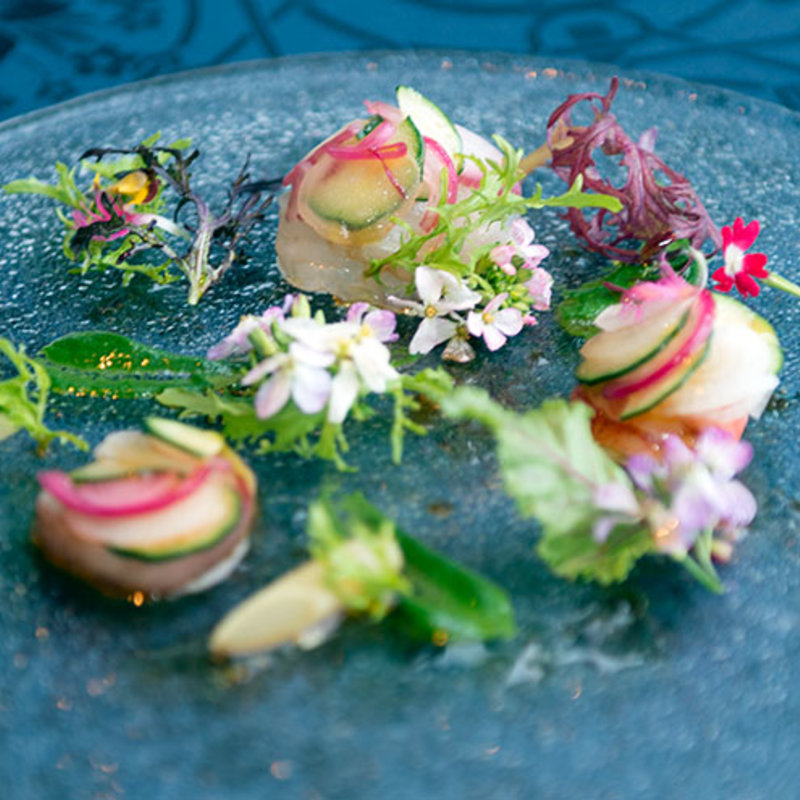 カンパチのスプリング仕立て(LucianoShow)