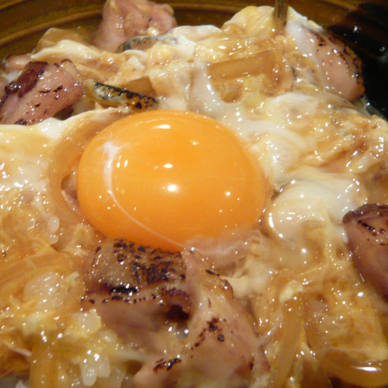 コーチン親子丼(かけ屋 )