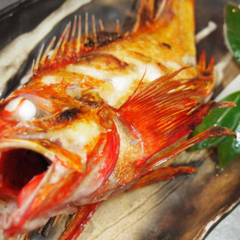 キンキ塩焼き(さかなや 市場食堂)