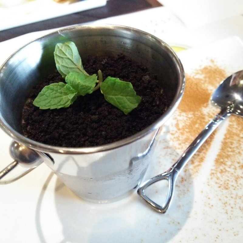 お芋のティラミス(サクラ カフェ （SAKURA CAFE）)