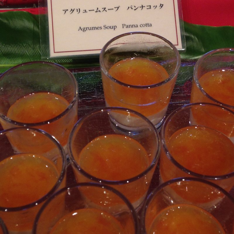 アグリュームスープ　パンナコッタ(インペリアルバイキング サール)