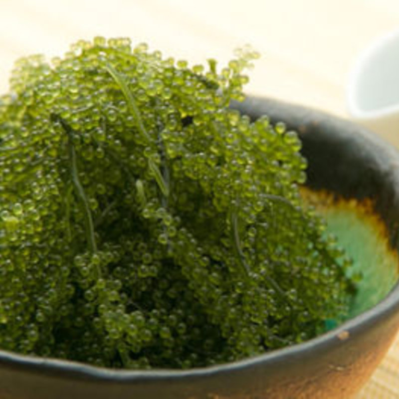 海ぶどう(沖縄ダイニング琉歌 RYUKA)