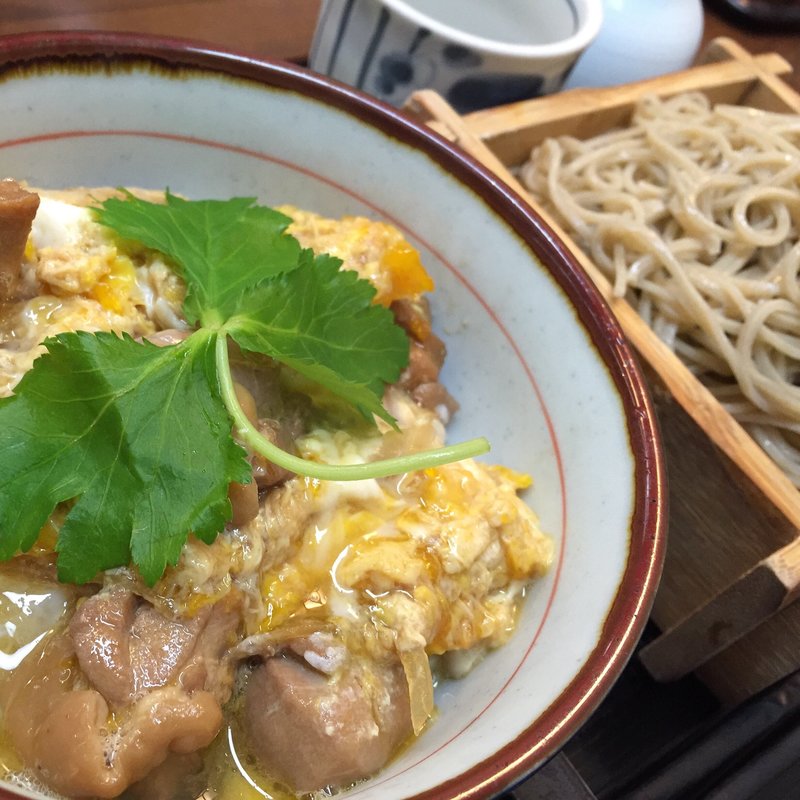 親子丼とミニそばせいろ(さっぽろ玄庵)