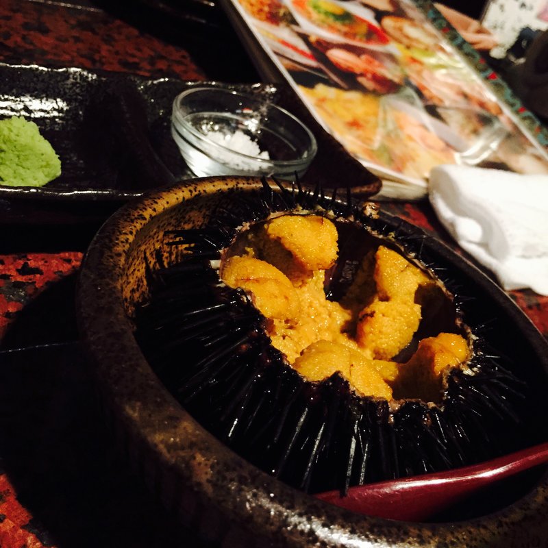 ガゼウニ(赤猿)