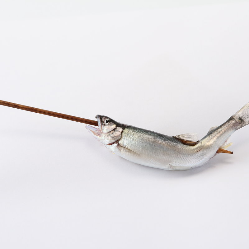 きびなご(銀座六覺燈 銀座店)