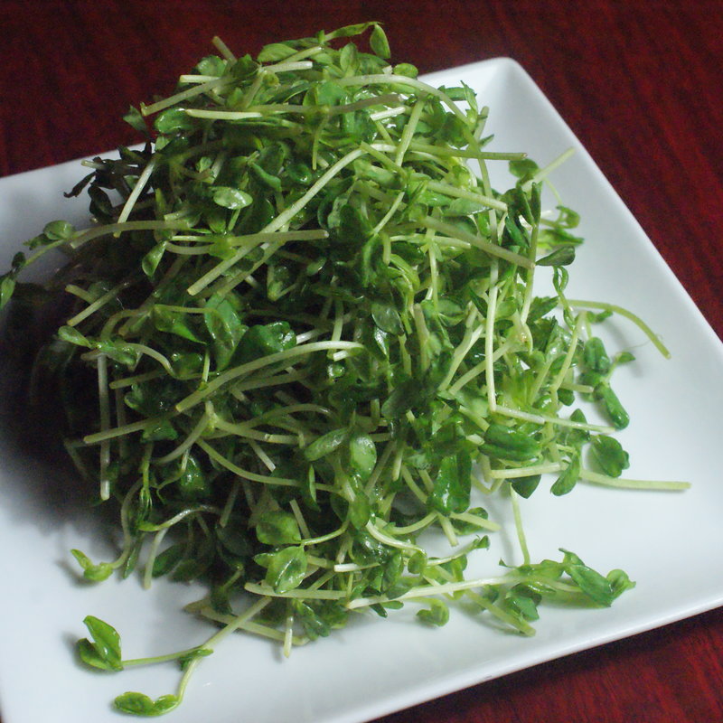 青蓮のヘルシーサラダ(健康中華庵・青蓮日本橋店)